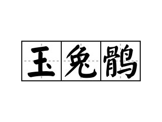 玉兔意思|玉兔的意思,玉兔的拼音、造句